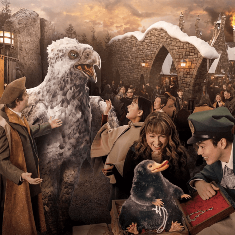 Magical Encounters: Harry Potter Characters
