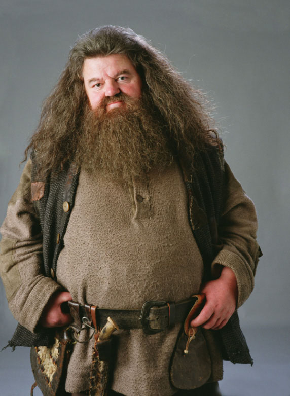 Who portrayed Rubeus Hagrid's mother Fridwulfa in the Harry Potter movies?