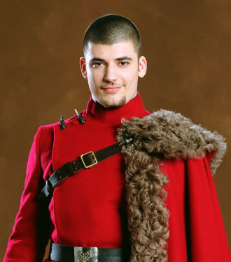 Who played Viktor Krum in the Harry Potter series?