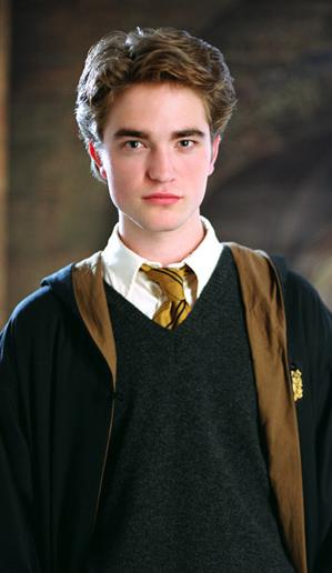 Cedric Diggory: The Tragic Fate of a Hogwarts Champion 2