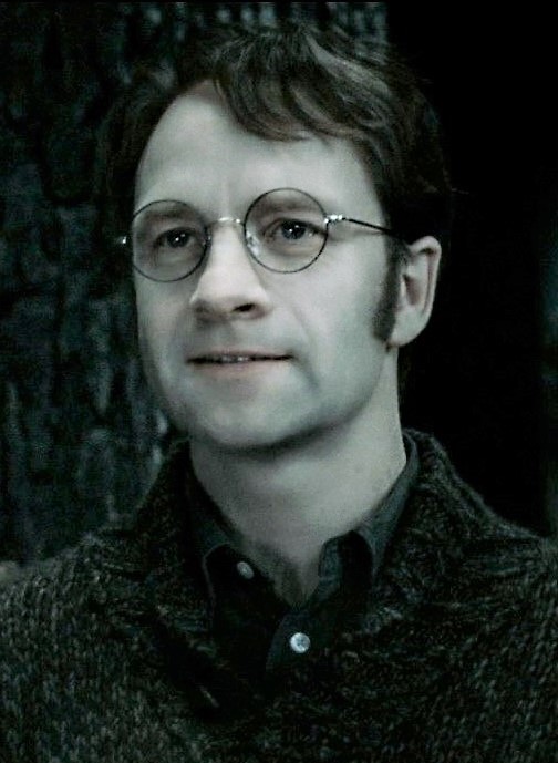 Who Portrayed James Potter In The Harry Potter Films?