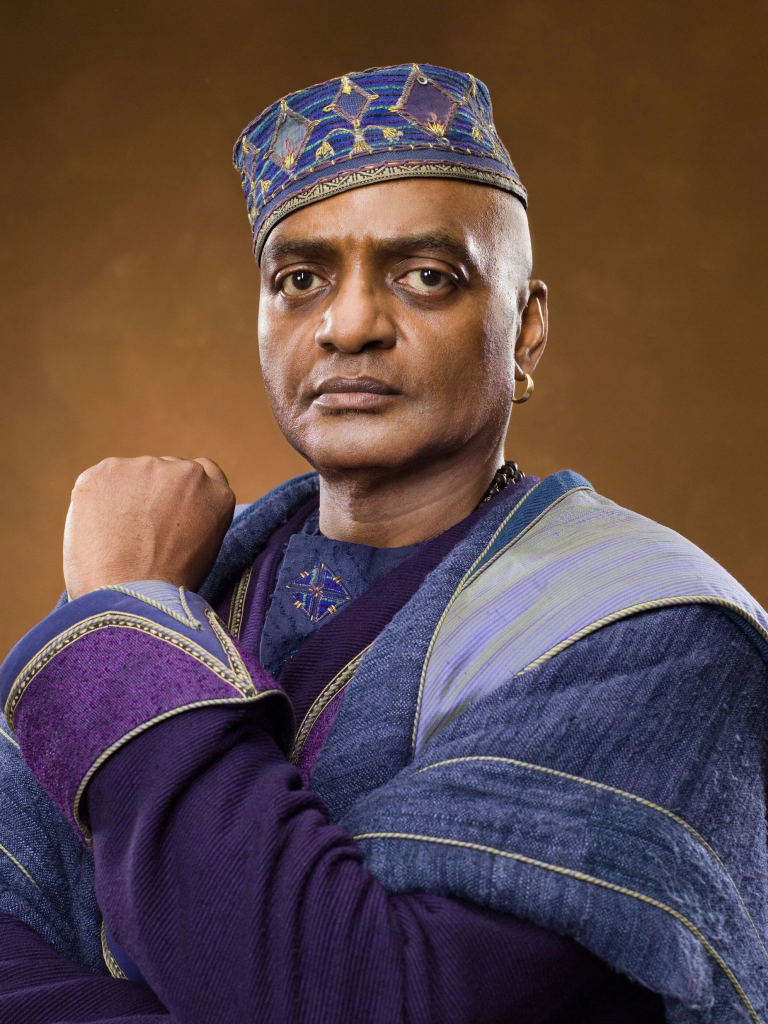Who Played The Role Of Kingsley Shacklebolt In The Harry Potter Films?