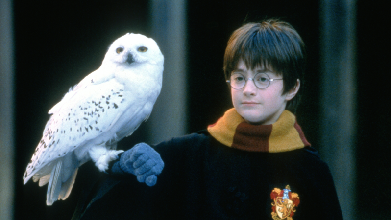 How were the magical creatures and characters brought to life in the Harry Potter movies? 2