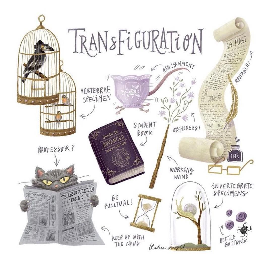 Harry Potter Books: The Magical Art of Transfiguration and Animagi 2